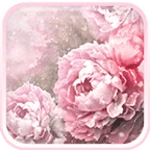 vintage roses live wallpaper android application logo